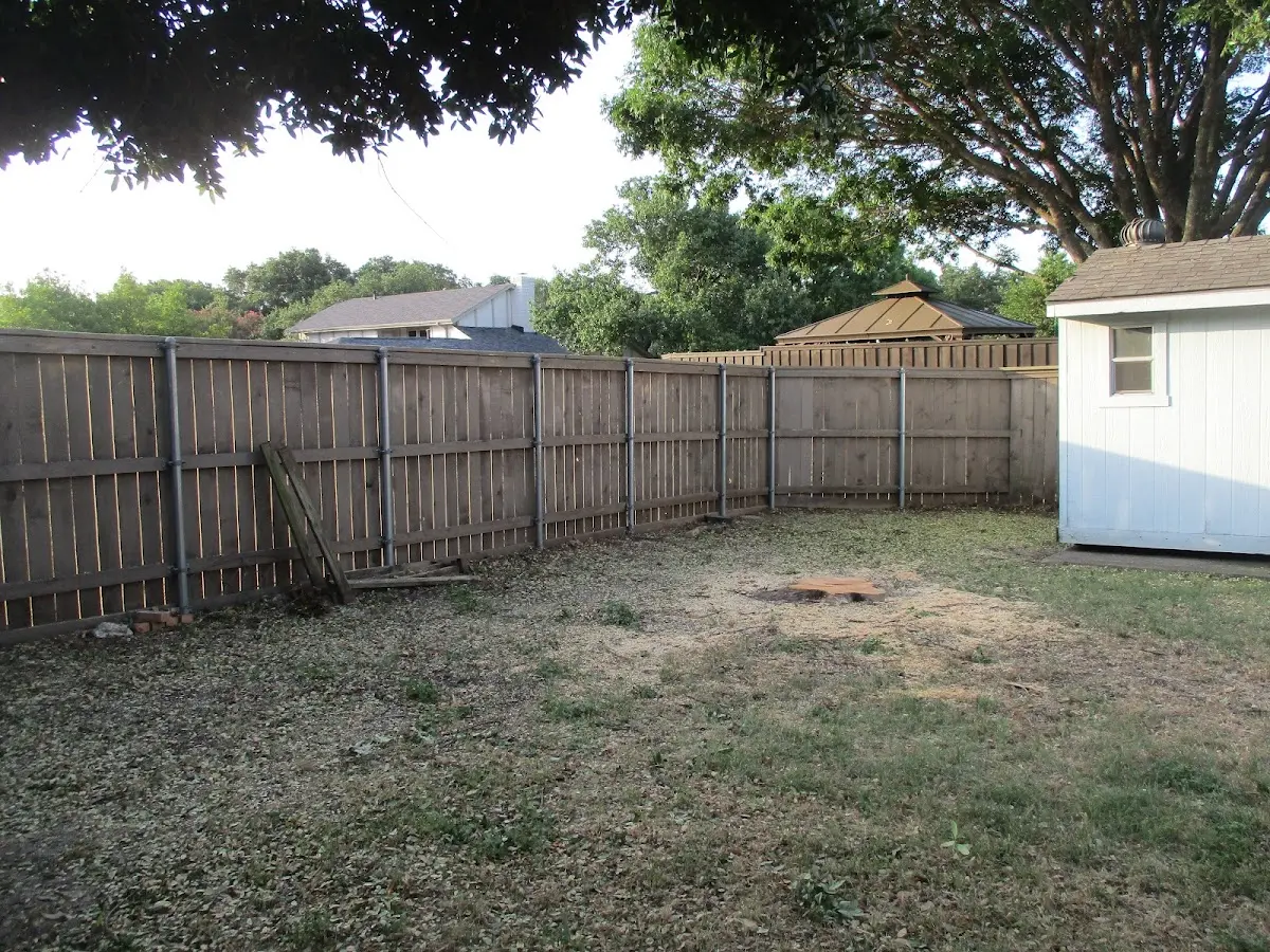 Cleared yard after professional tree removal in Crawfordville