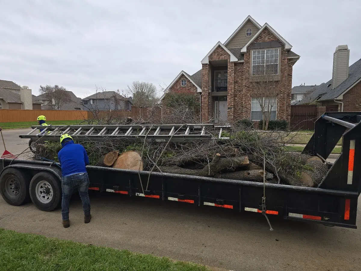 Expert Tree Removal with proper safety equipment in Crawfordville